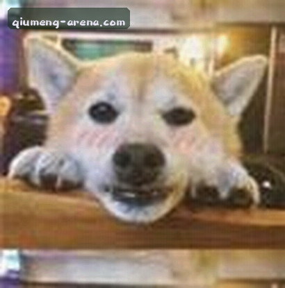 陈静